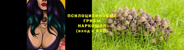 сатива Абаза