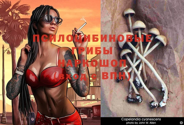 сатива Абаза