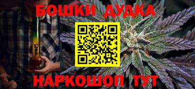 spice Дубна