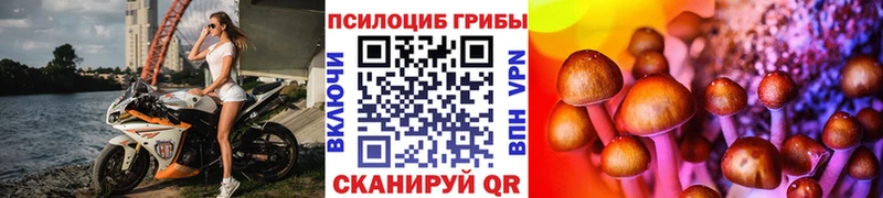 Галлюциногенные грибы мицелий Мурино