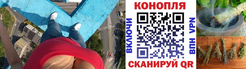 дарнет шоп  ссылка на мегу сайт  Бошки Шишки гибрид  Мурино 