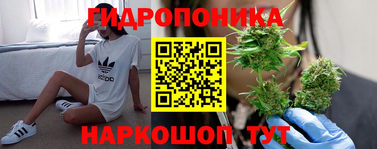 Шишки марихуана MAZAR Мурино